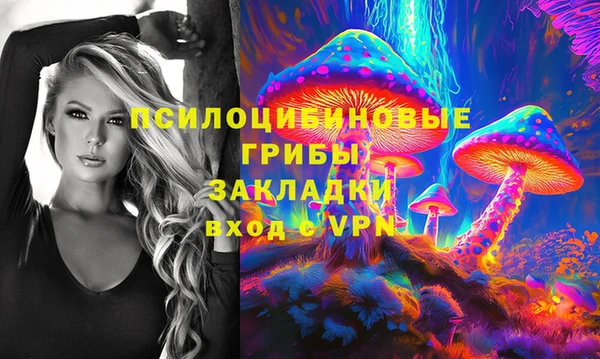 эйфоретик Алексин