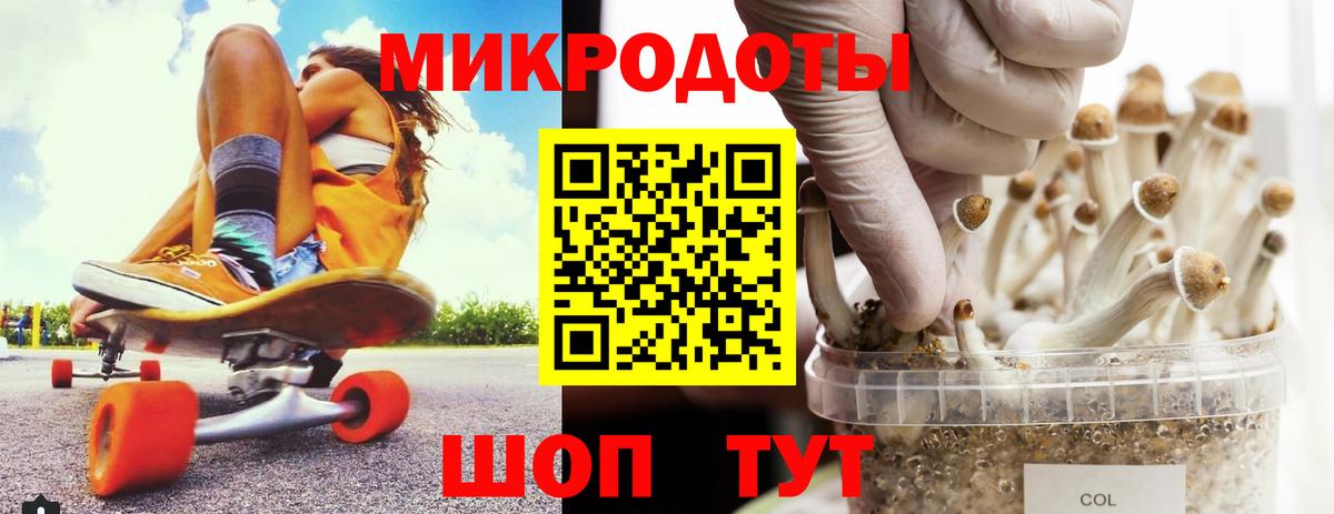 Ленинск-Кузнецкий  Псилоцибиновые грибы MAGIC MUSHROOMS  Вход с VPN 