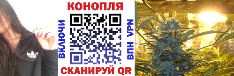 Бошки Шишки тримм цены наркотик Ленинск-Кузнецкий
